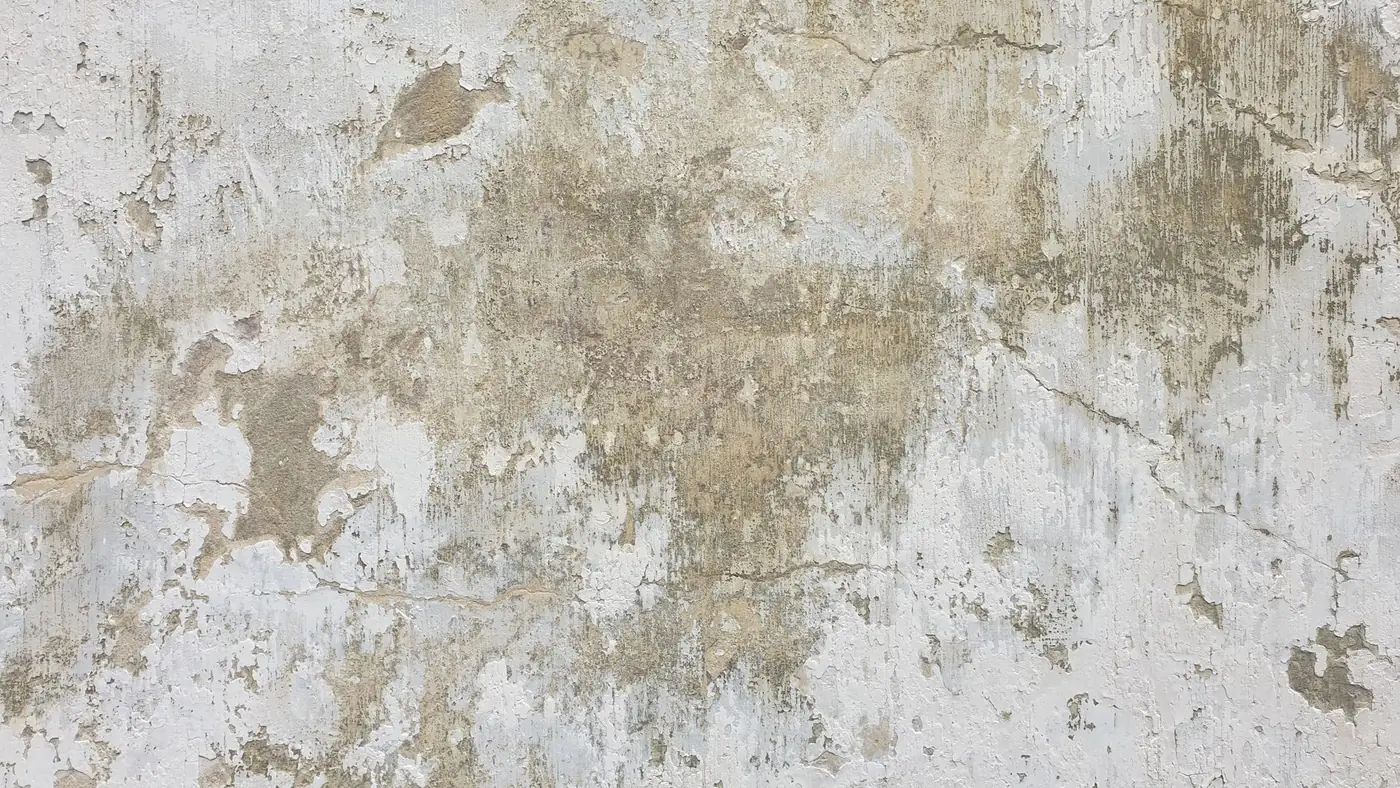 Façade encrassée avec traces d'humidité et fissures, avant nettoyage